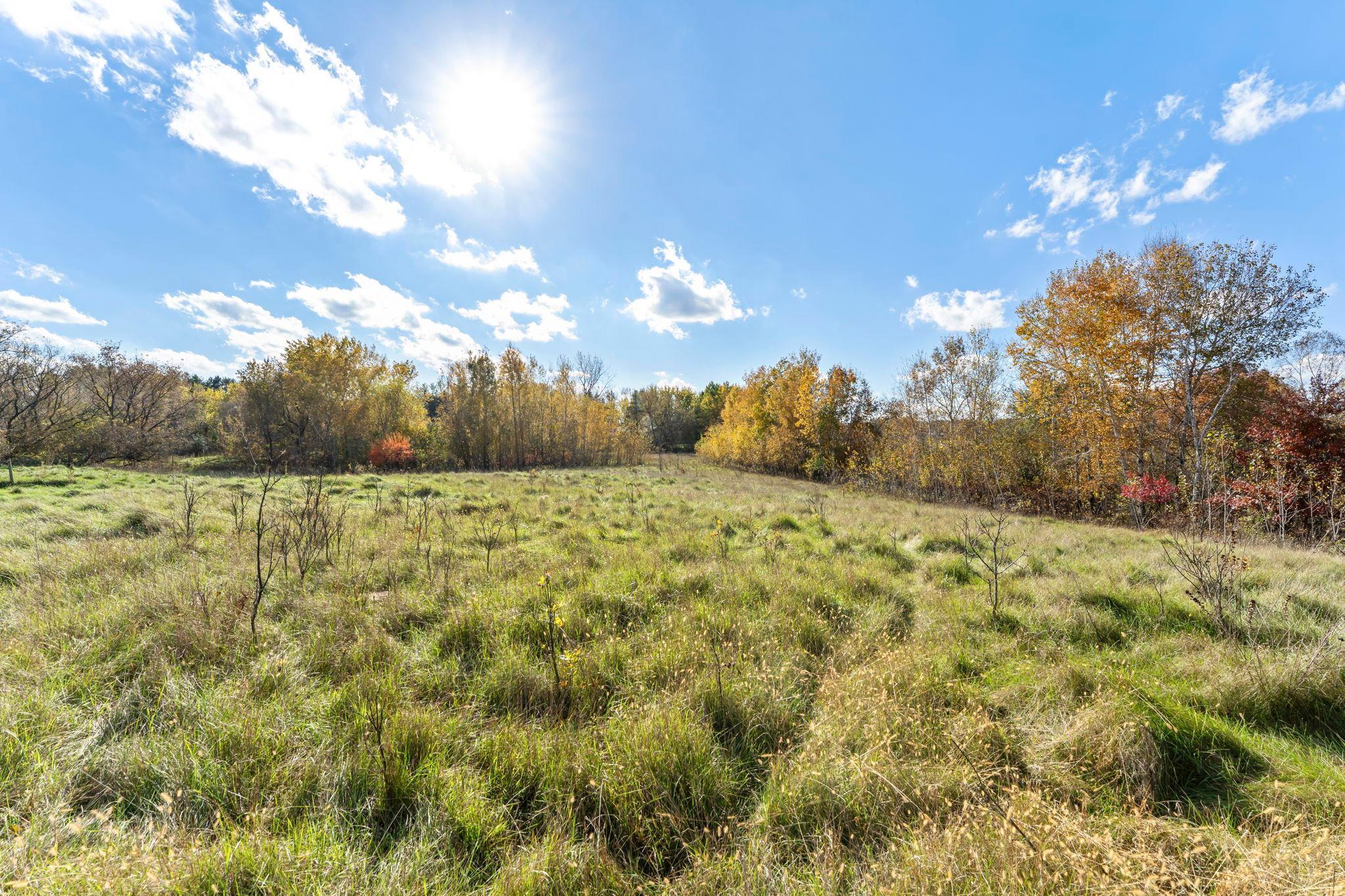 View of Land at 74xx 181st Avenue, Nowthen MN 55303, Nowthen (14 of 48) - Mike Wilen | Minnesota Team Real Estate