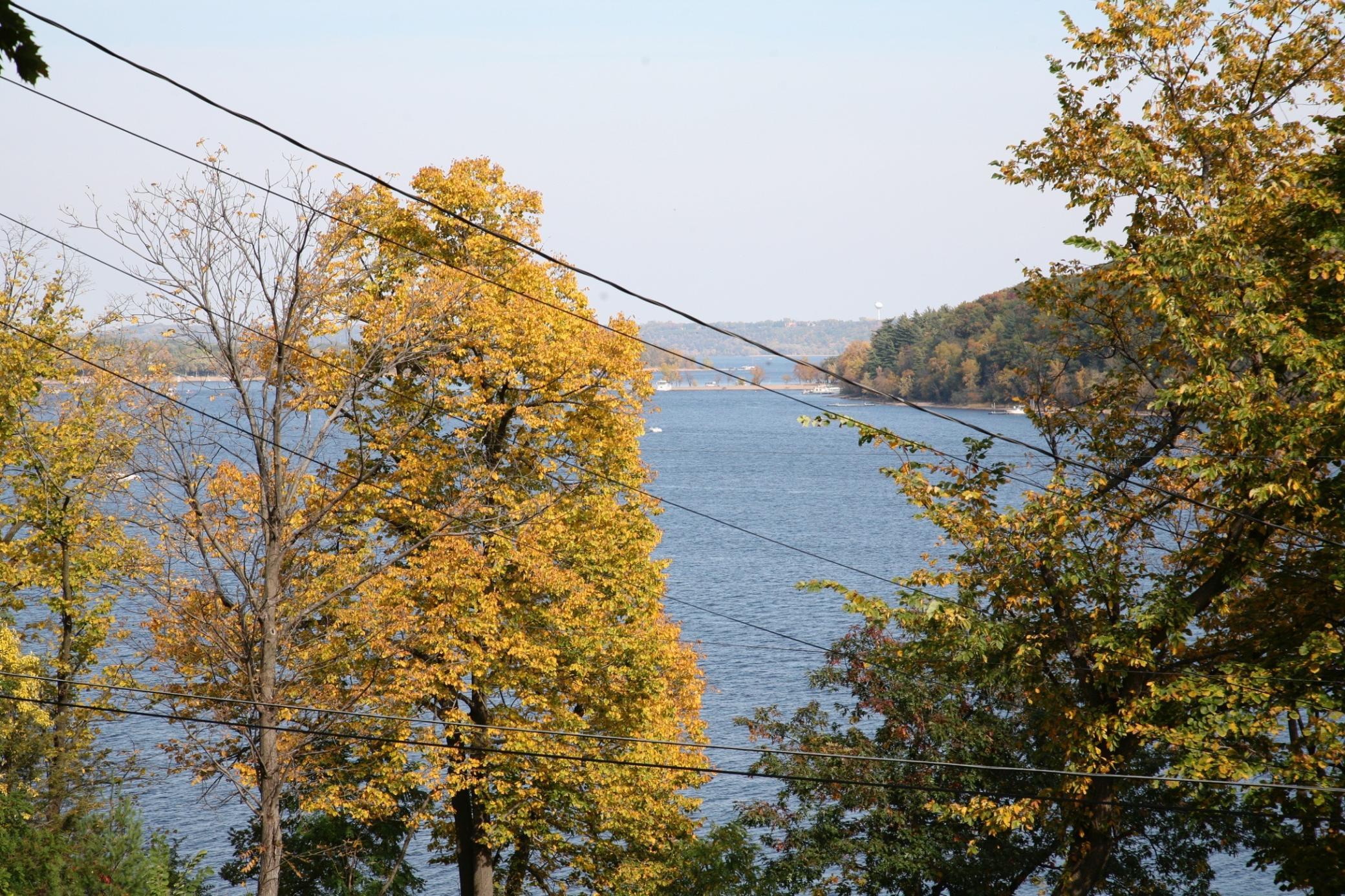 View of Residential at 4350 River Road, Afton MN 55001, Afton (62 of 101) - Mike Wilen | Minnesota Team Real Estate