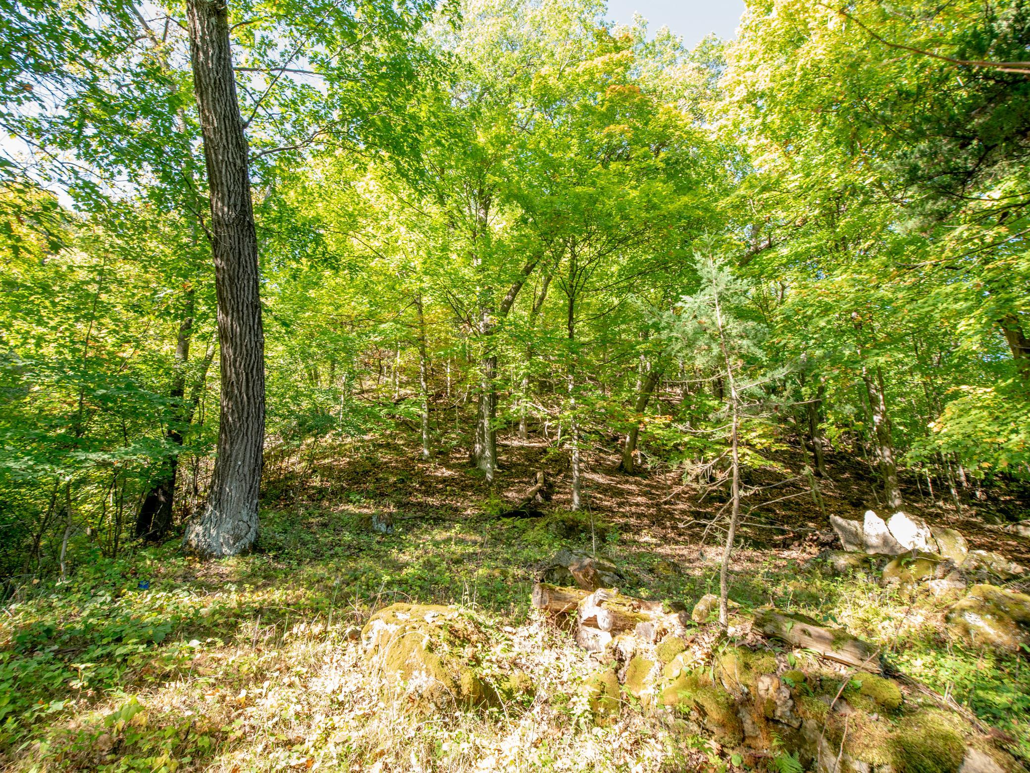 View of Residential at 4350 River Road, Afton MN 55001, Afton (51 of 101) - Mike Wilen | Minnesota Team Real Estate
