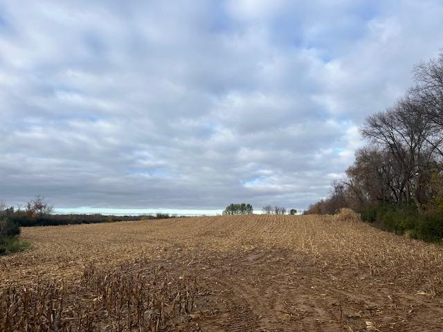 View of Land at TBD (L1B1) Tucker Street, Stanchfield Twp MN 55080, Stanchfield Twp - Mike Wilen | Minnesota Team Real Estate