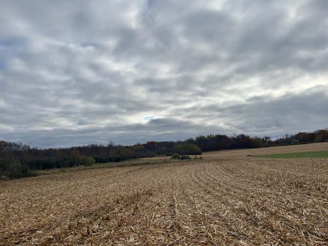 View of Land at TBD (L2B1) Packard Street, Stanchfield Twp MN 55080, Stanchfield Twp - Mike Wilen | Minnesota Team Real Estate