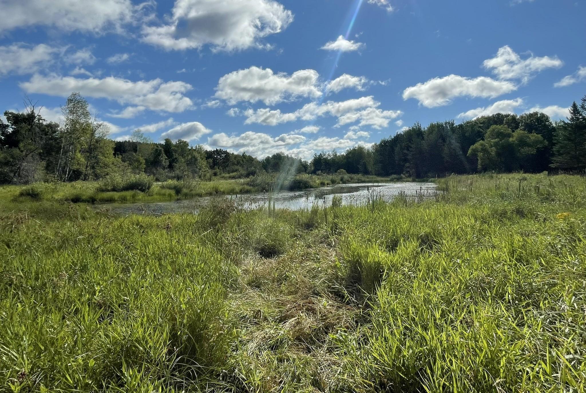 View of Land at 6552 Austin Road, Baxter MN 56425, Baxter (7 of 14) - Mike Wilen | Minnesota Team Real Estate