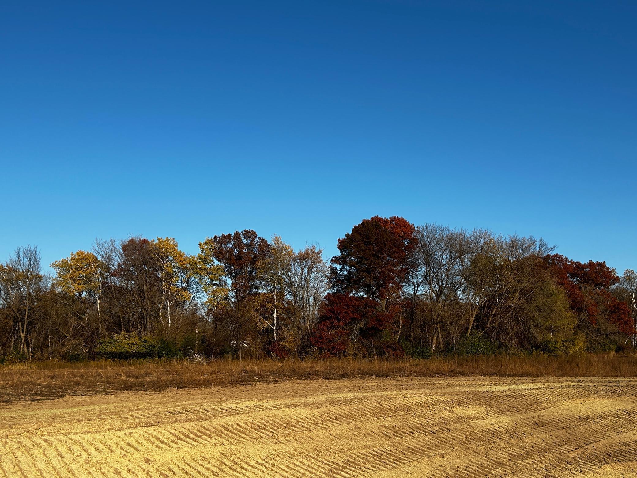 View of Land at Lot 6 151st Avenue SE, Becker MN 55308, Becker (3 of 5) - Mike Wilen | Minnesota Team Real Estate