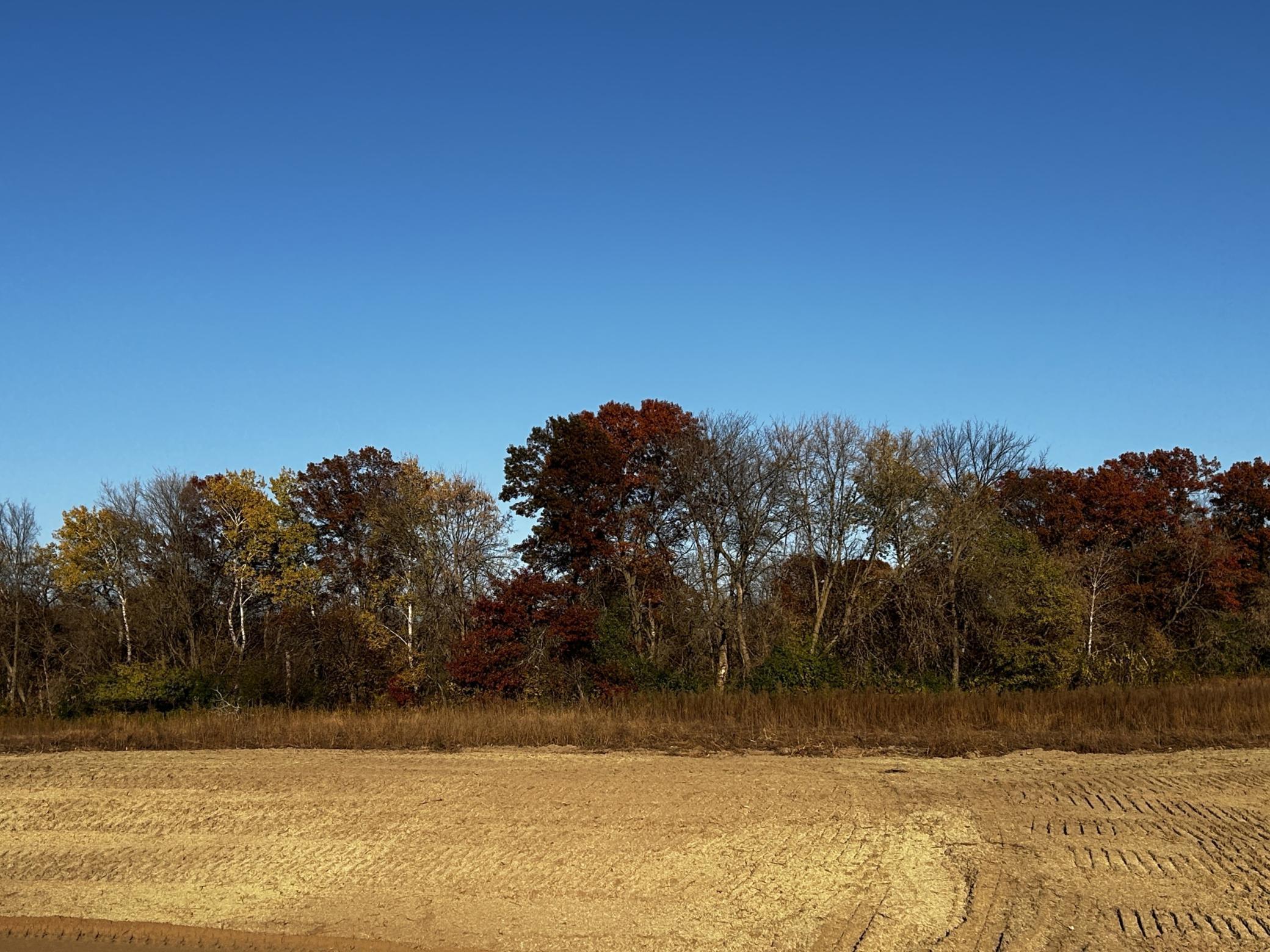 View of Land at Lot 6 151st Avenue SE, Becker MN 55308, Becker (2 of 5) - Mike Wilen | Minnesota Team Real Estate