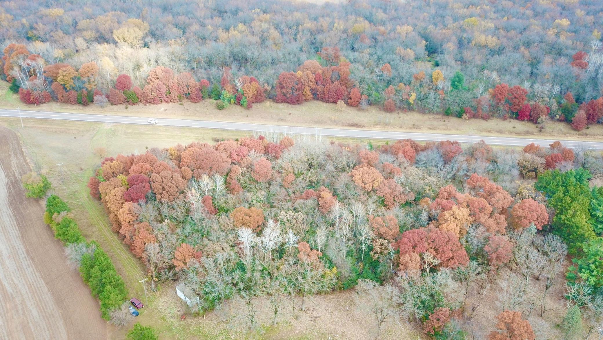 View of Land at TBD 17th Street, Santiago Twp MN 55319, Santiago Twp - Mike Wilen | Minnesota Team Real Estate