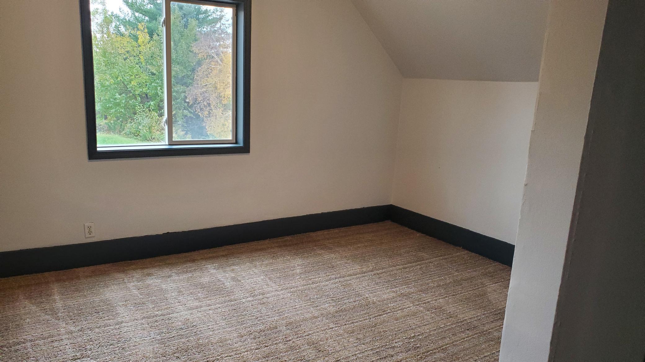 View of Residential Income at 221 Bridge Street, Le Sueur MN 56058, Le Sueur (11 of 19) - Mike Wilen | Minnesota Team Real Estate