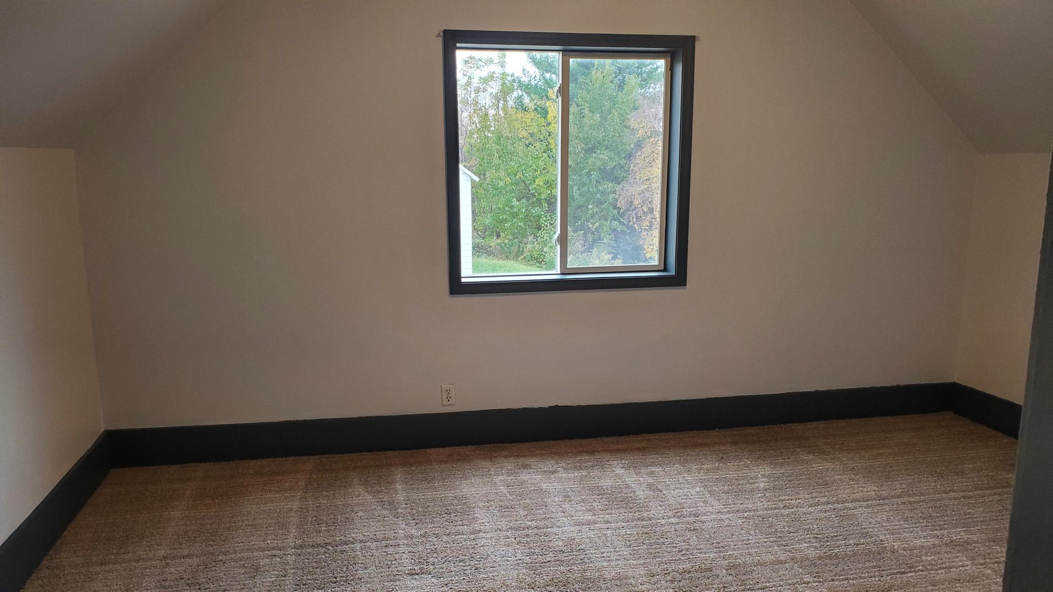 View of Residential Income at 221 Bridge Street, Le Sueur MN 56058, Le Sueur (10 of 19) - Mike Wilen | Minnesota Team Real Estate