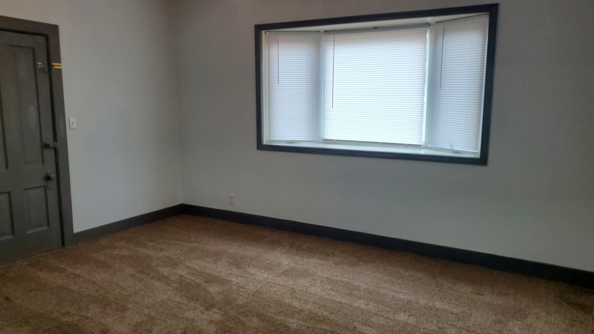 View of Residential Income at 221 Bridge Street, Le Sueur MN 56058, Le Sueur (8 of 19) - Mike Wilen | Minnesota Team Real Estate