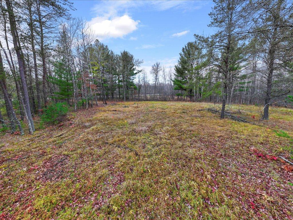 View of Land at L1 B1 County Road 1, Pine River MN 56474, Pine River (8 of 8) - Mike Wilen | Minnesota Team Real Estate