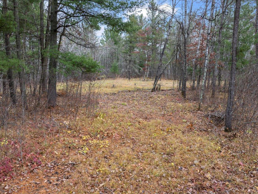 View of Land at L1 B1 County Road 1, Pine River MN 56474, Pine River (4 of 8) - Mike Wilen | Minnesota Team Real Estate