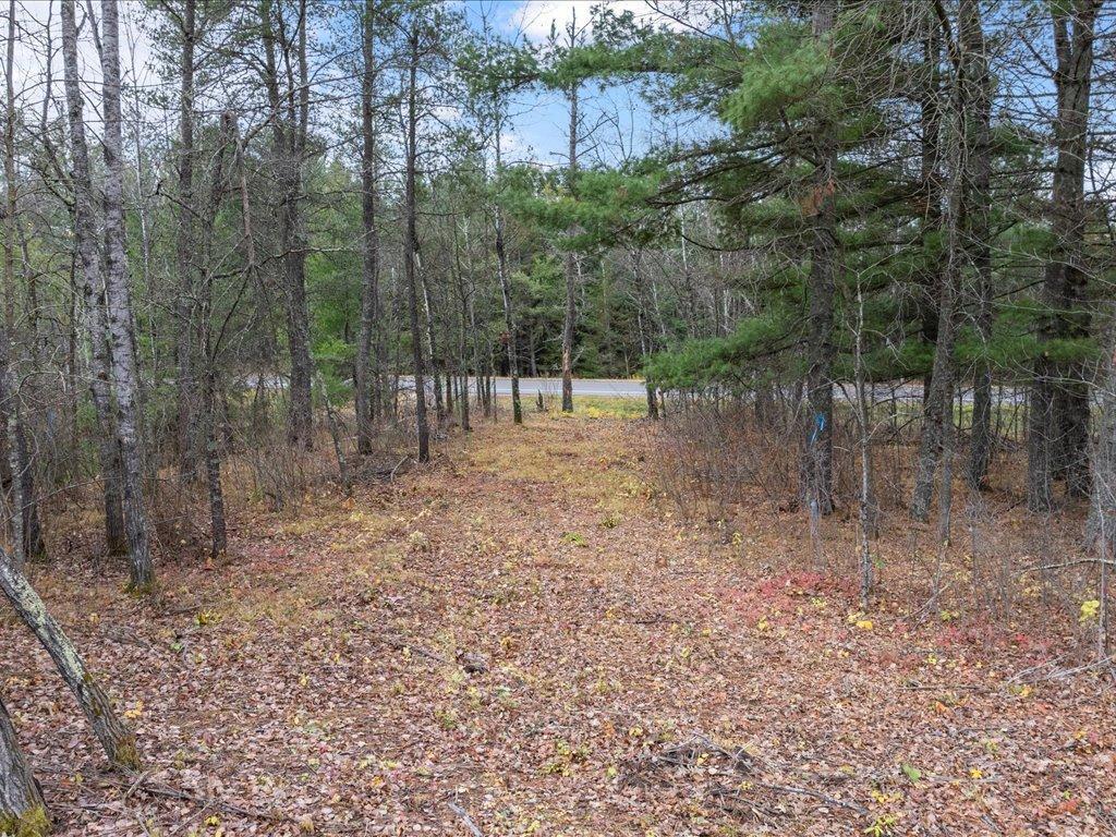 View of Land at L1 B1 County Road 1, Pine River MN 56474, Pine River (3 of 8) - Mike Wilen | Minnesota Team Real Estate