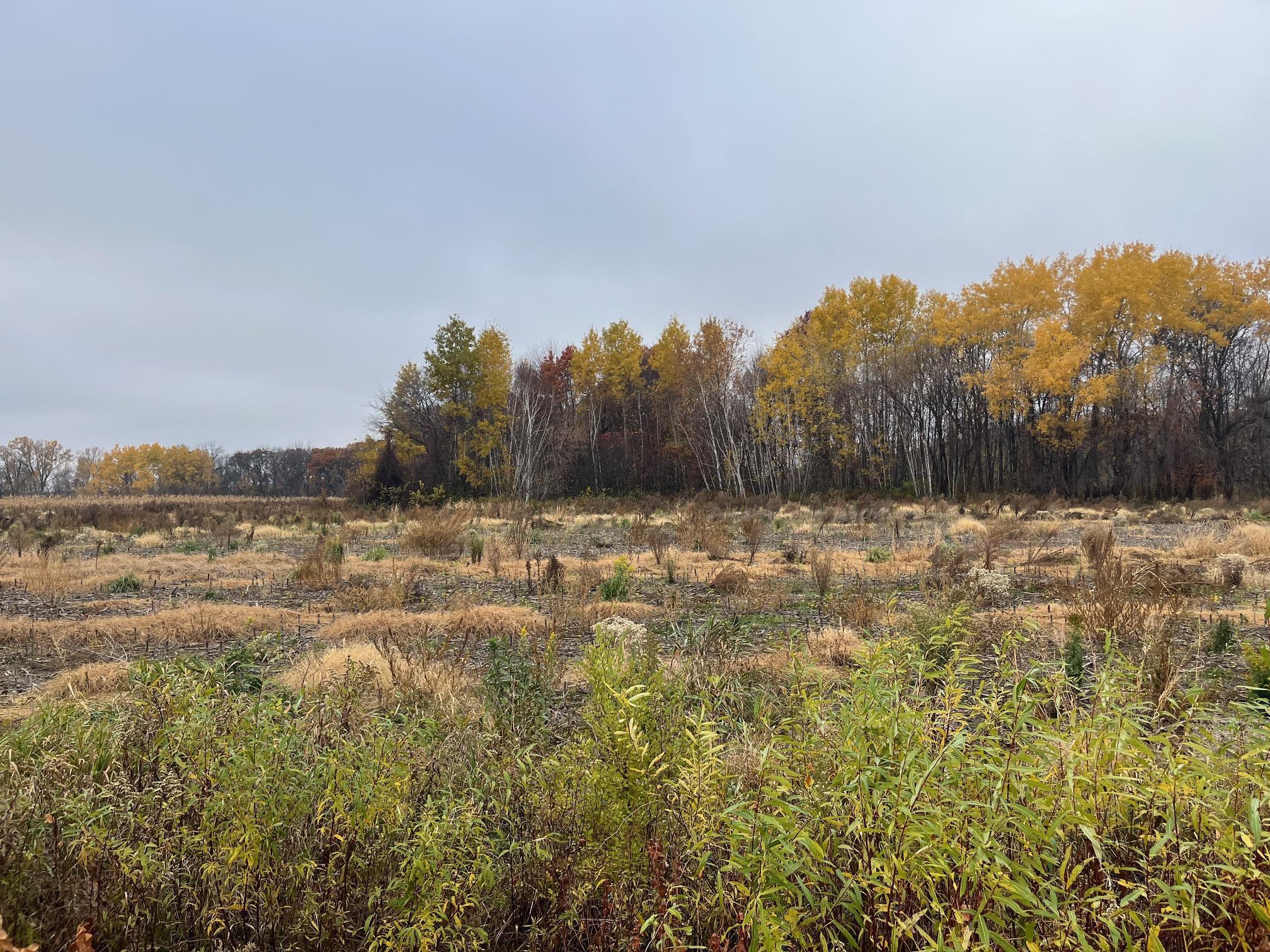 View of Land at TBD (Lot 2) Brunswick Road, Stanchfield MN 55080, Stanchfield - Mike Wilen | Minnesota Team Real Estate