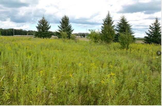 View of Land at 20xxx Highway #169, Milaca MN 56353, Milaca (8 of 8) - Mike Wilen | Minnesota Team Real Estate