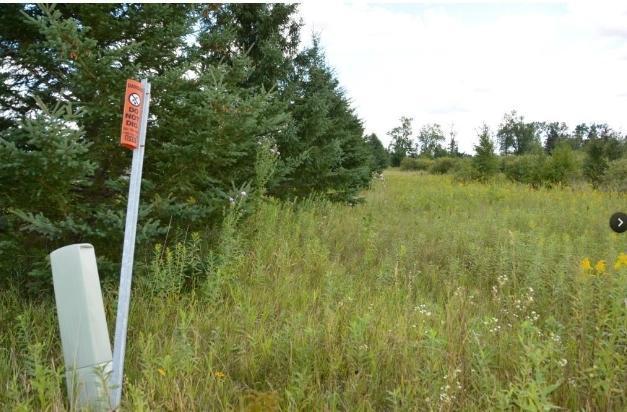 View of Land at 20xxx Highway #169, Milaca MN 56353, Milaca (7 of 8) - Mike Wilen | Minnesota Team Real Estate