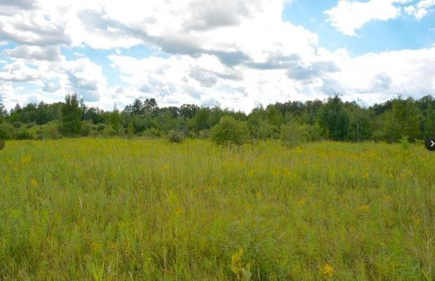 View of Land at 20xxx Highway #169, Milaca MN 56353, Milaca (6 of 8) - Mike Wilen | Minnesota Team Real Estate