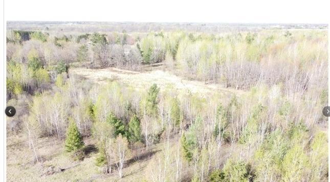 View of Land at 20xxx Highway #169, Milaca MN 56353, Milaca (2 of 8) - Mike Wilen | Minnesota Team Real Estate