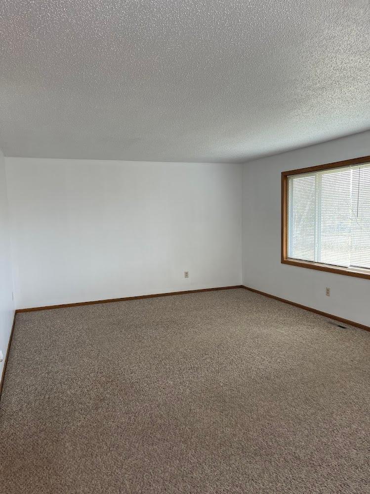 View of Residential Income at 11923-11931 Wintergreen Street, Coon Rapids MN 55448, Coon Rapids (15 of 19) - Mike Wilen | Minnesota Team Real Estate