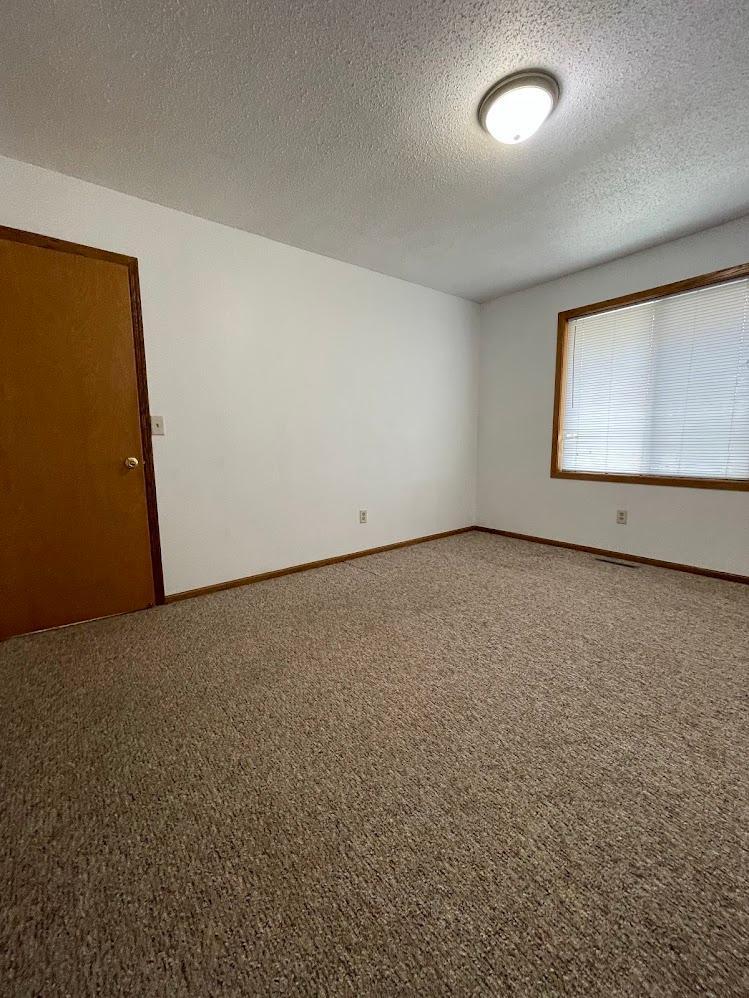 View of Residential Income at 11923-11931 Wintergreen Street, Coon Rapids MN 55448, Coon Rapids (8 of 19) - Mike Wilen | Minnesota Team Real Estate