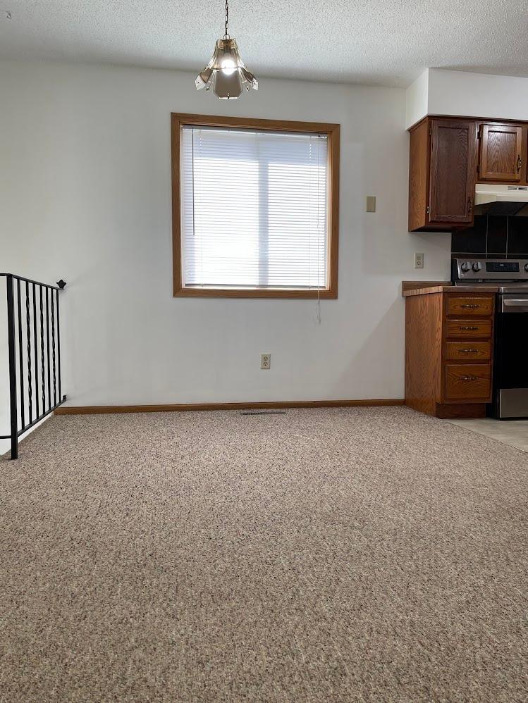View of Residential Income at 11923-11931 Wintergreen Street, Coon Rapids MN 55448, Coon Rapids (7 of 19) - Mike Wilen | Minnesota Team Real Estate