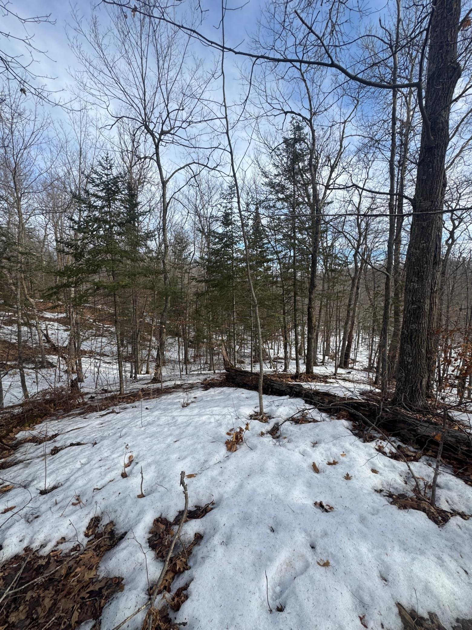 View of Land at TBD MN-18, Brainerd MN 56401, Brainerd (8 of 18) - Mike Wilen | Minnesota Team Real Estate