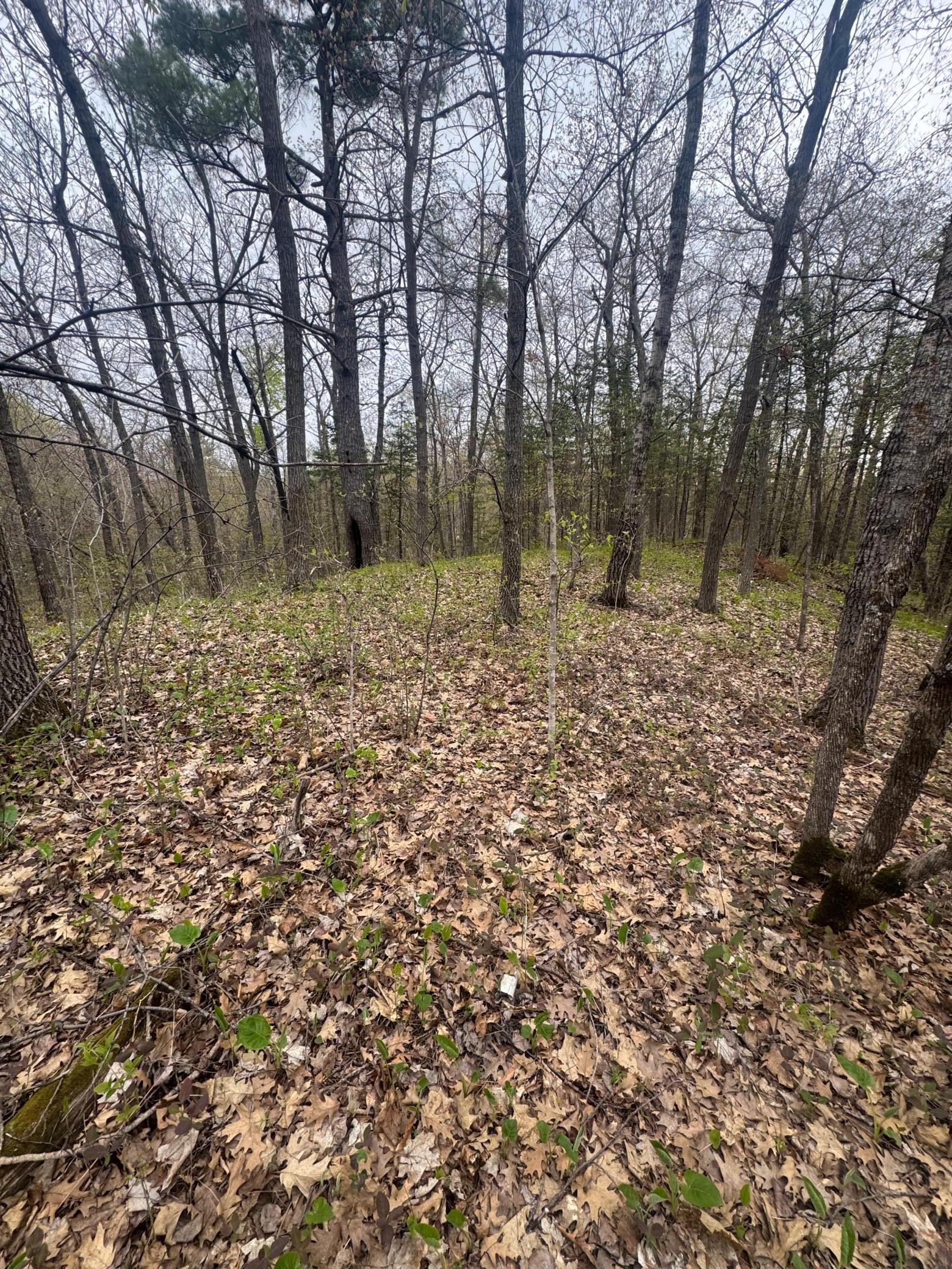 View of Land at TBD MN-18, Brainerd MN 56401, Brainerd (4 of 18) - Mike Wilen | Minnesota Team Real Estate