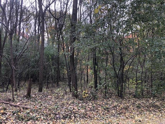 View of Land at 3211 Loop Road, Burnsville MN 55306, Burnsville - Mike Wilen | Minnesota Team Real Estate