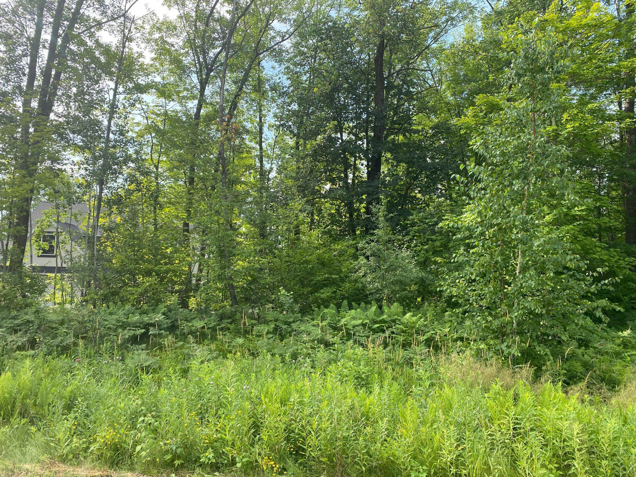 View of Land at TBD 175th, Ogilvie MN 56358, Ogilvie - Mike Wilen | Minnesota Team Real Estate