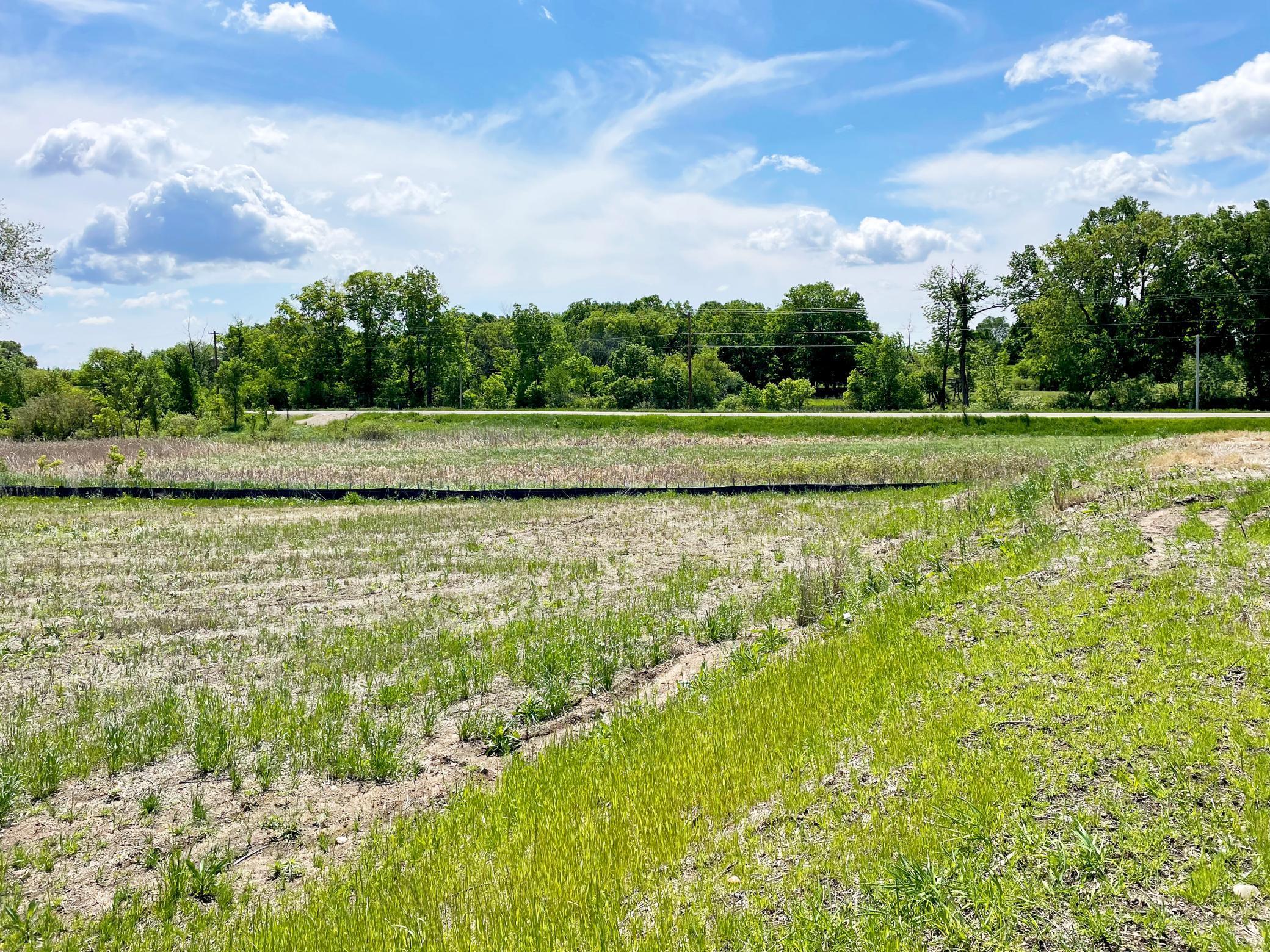 View of Land at 7551 Lake John Drive, Annandale MN 55302, Annandale (5 of 18) - Mike Wilen | Minnesota Team Real Estate