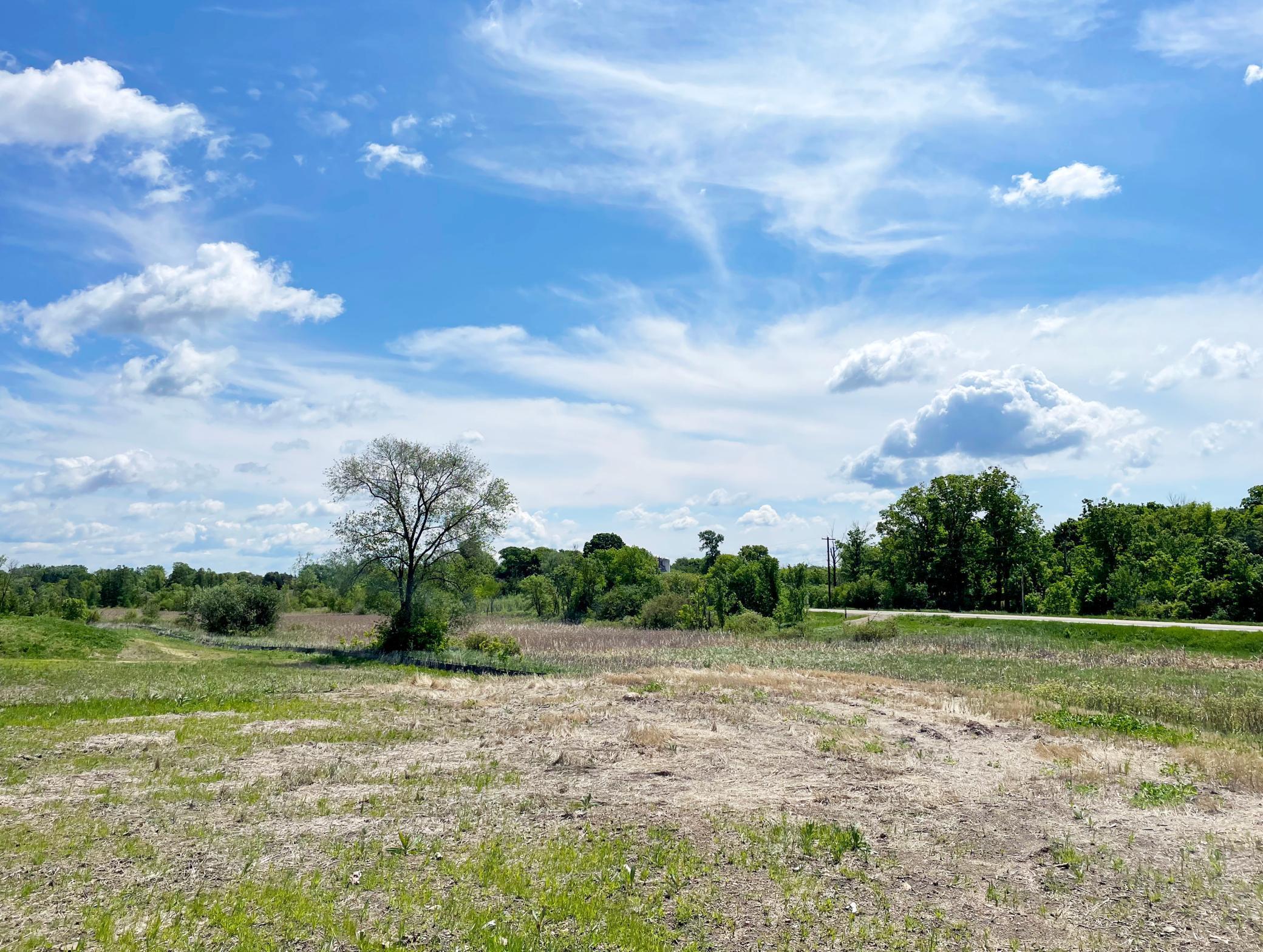 View of Land at 7551 Lake John Drive, Annandale MN 55302, Annandale (6 of 18) - Mike Wilen | Minnesota Team Real Estate