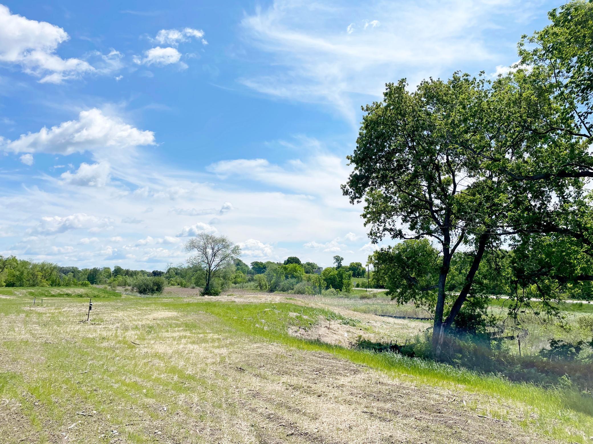 View of Land at 7551 Lake John Drive, Annandale MN 55302, Annandale (13 of 18) - Mike Wilen | Minnesota Team Real Estate