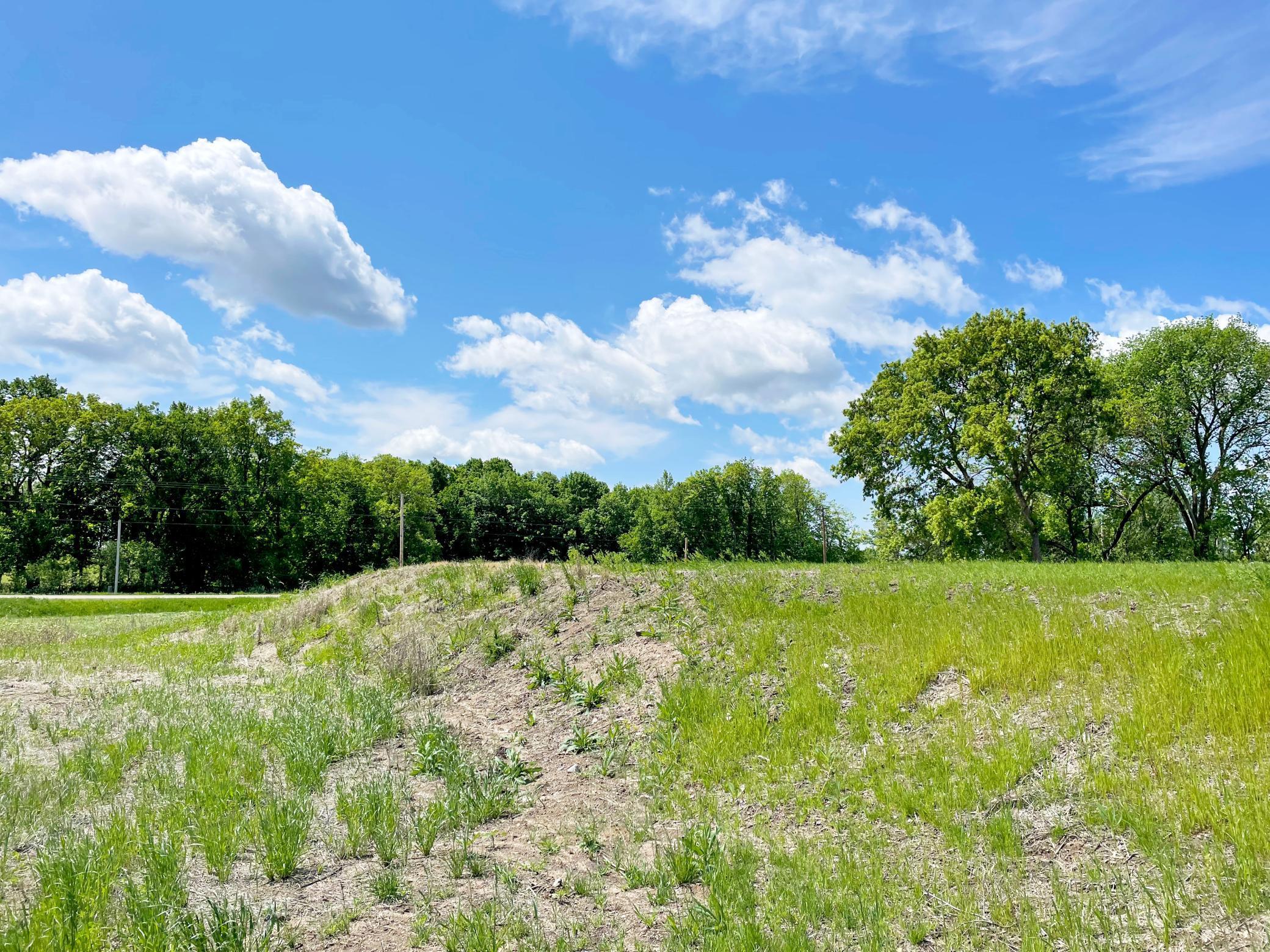 View of Land at 7551 Lake John Drive, Annandale MN 55302, Annandale (15 of 18) - Mike Wilen | Minnesota Team Real Estate