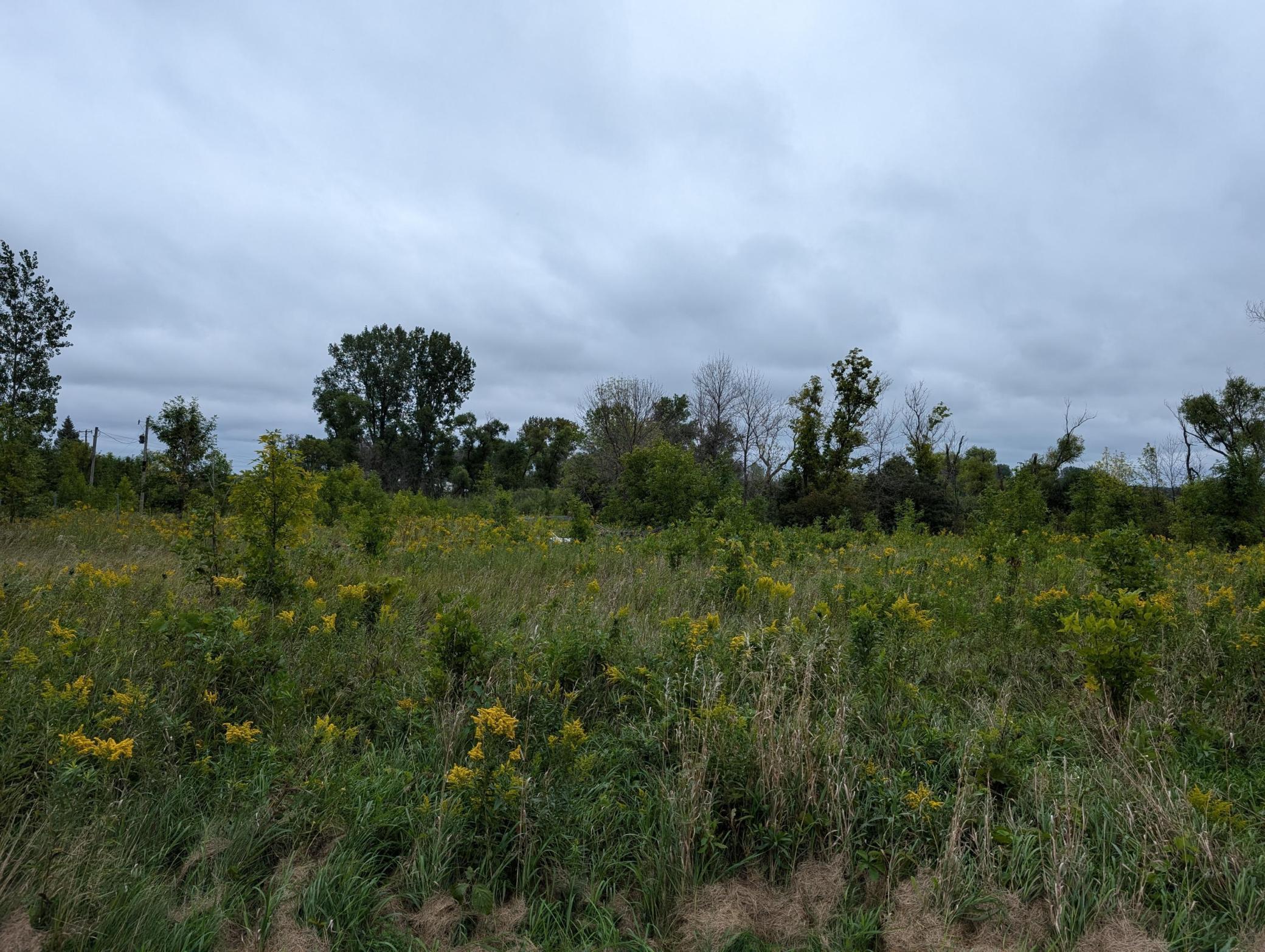 View of Commercial Sale at 9500 145th Avenue, Forest Lake - Mike Wilen | Minnesota Team Real Estate