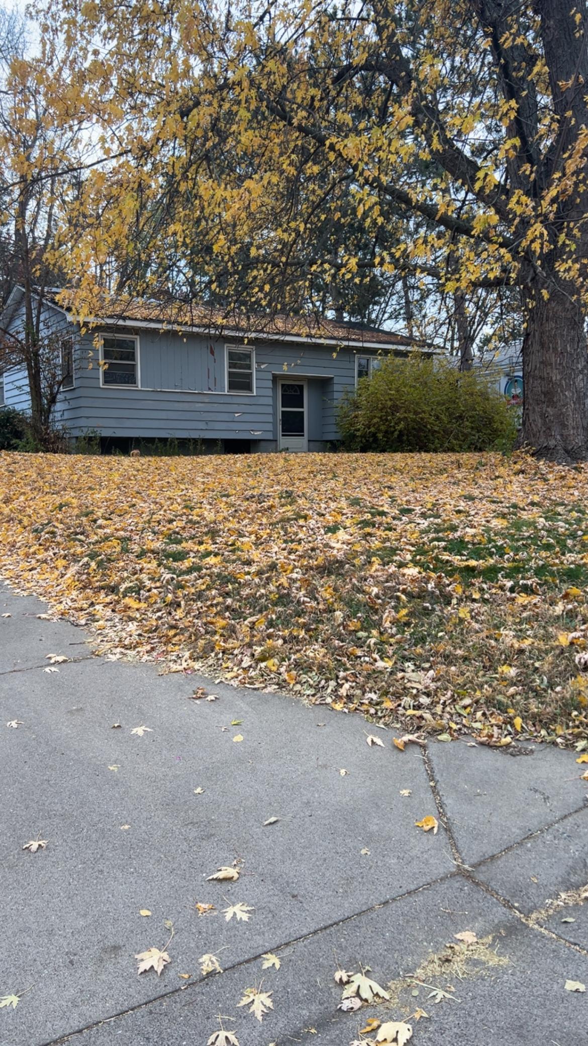 View of Residential at 1444 Ames Avenue, Saint Paul MN 55106, Saint Paul - Mike Wilen | Minnesota Team Real Estate
