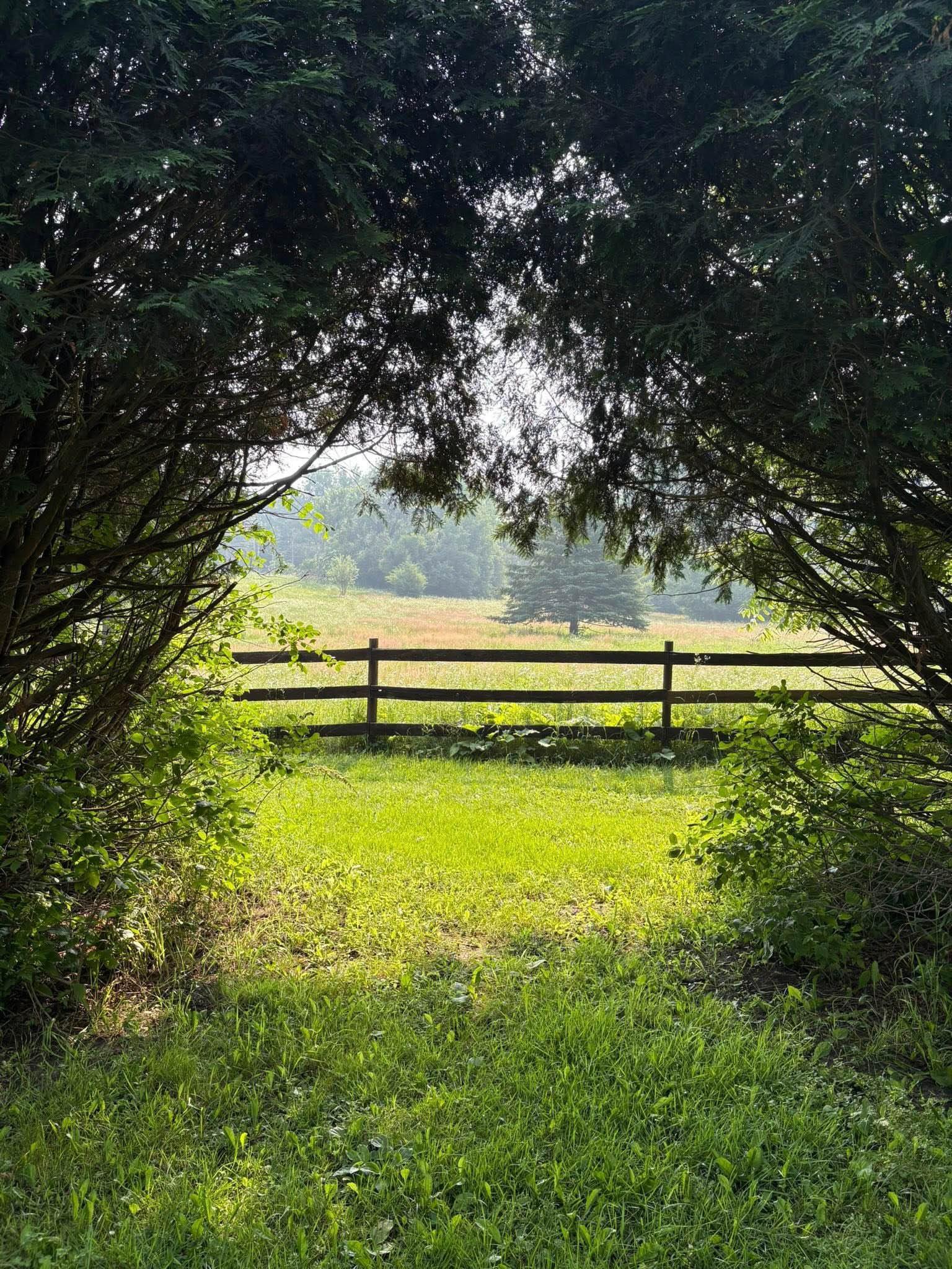 View of Land at TBD Norsted Avenue, Afton MN 55001, Afton - Mike Wilen | Minnesota Team Real Estate