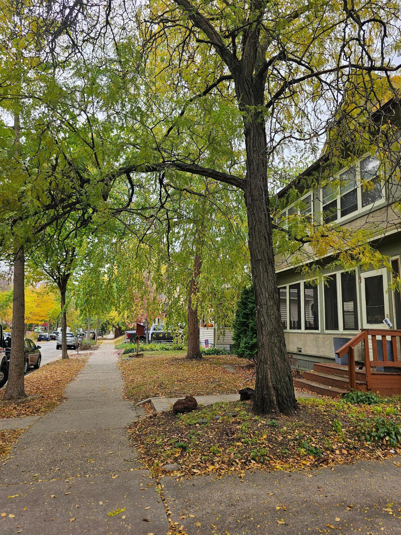 View of Residential Income at 3126 Emerson Avenue, Minneapolis MN 55408, Minneapolis (2 of 21) - Mike Wilen | Minnesota Team Real Estate