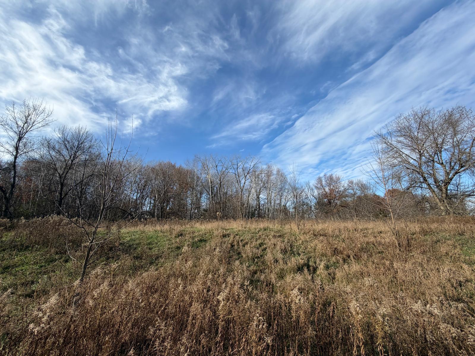 View of Land at TBD Xerus Street, Zimmerman MN 55398, Zimmerman - Mike Wilen | Minnesota Team Real Estate