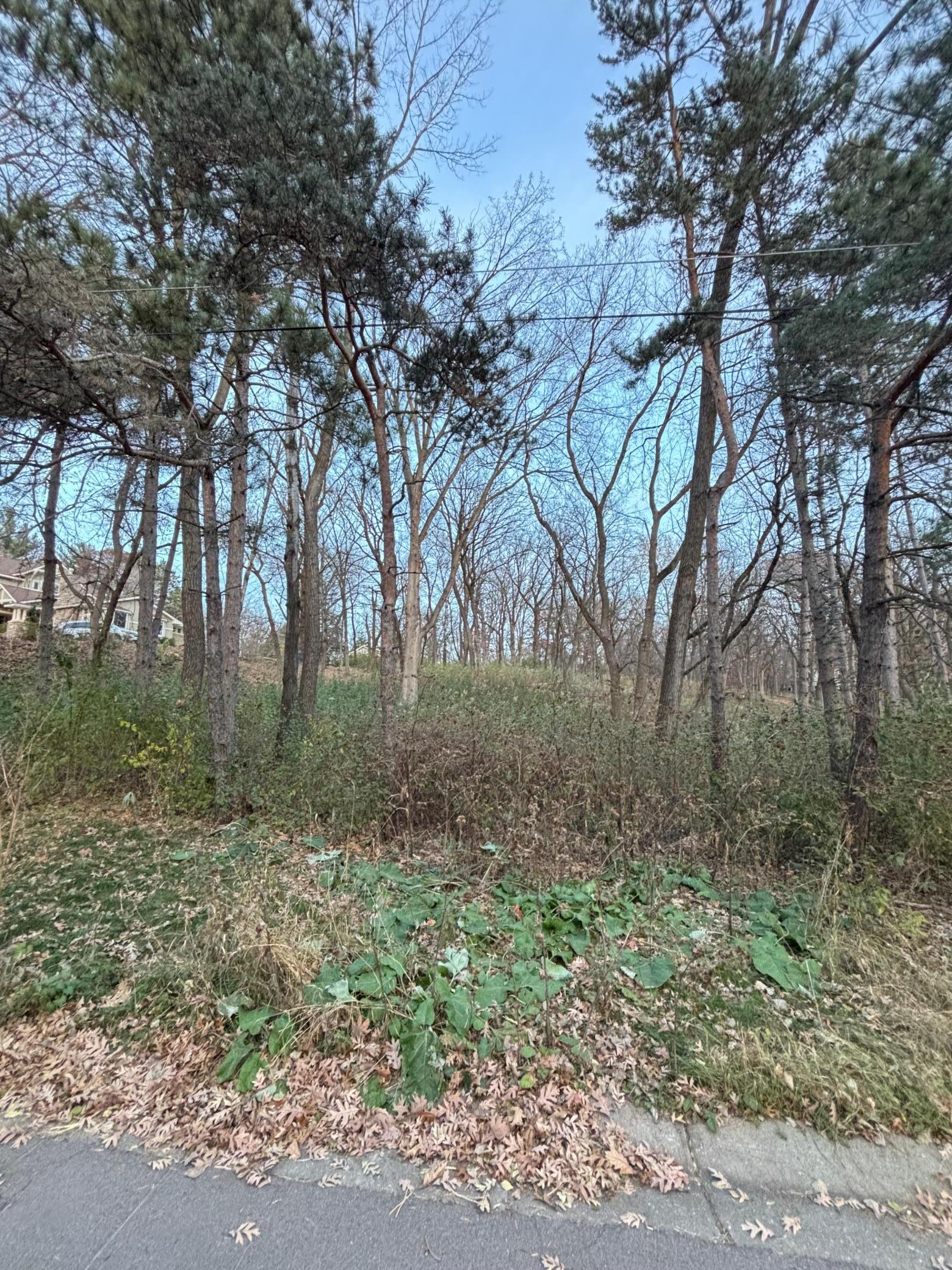 View of Land at 12786 Denmark Avenue, Apple Valley MN 55124, Apple Valley - Mike Wilen | Minnesota Team Real Estate