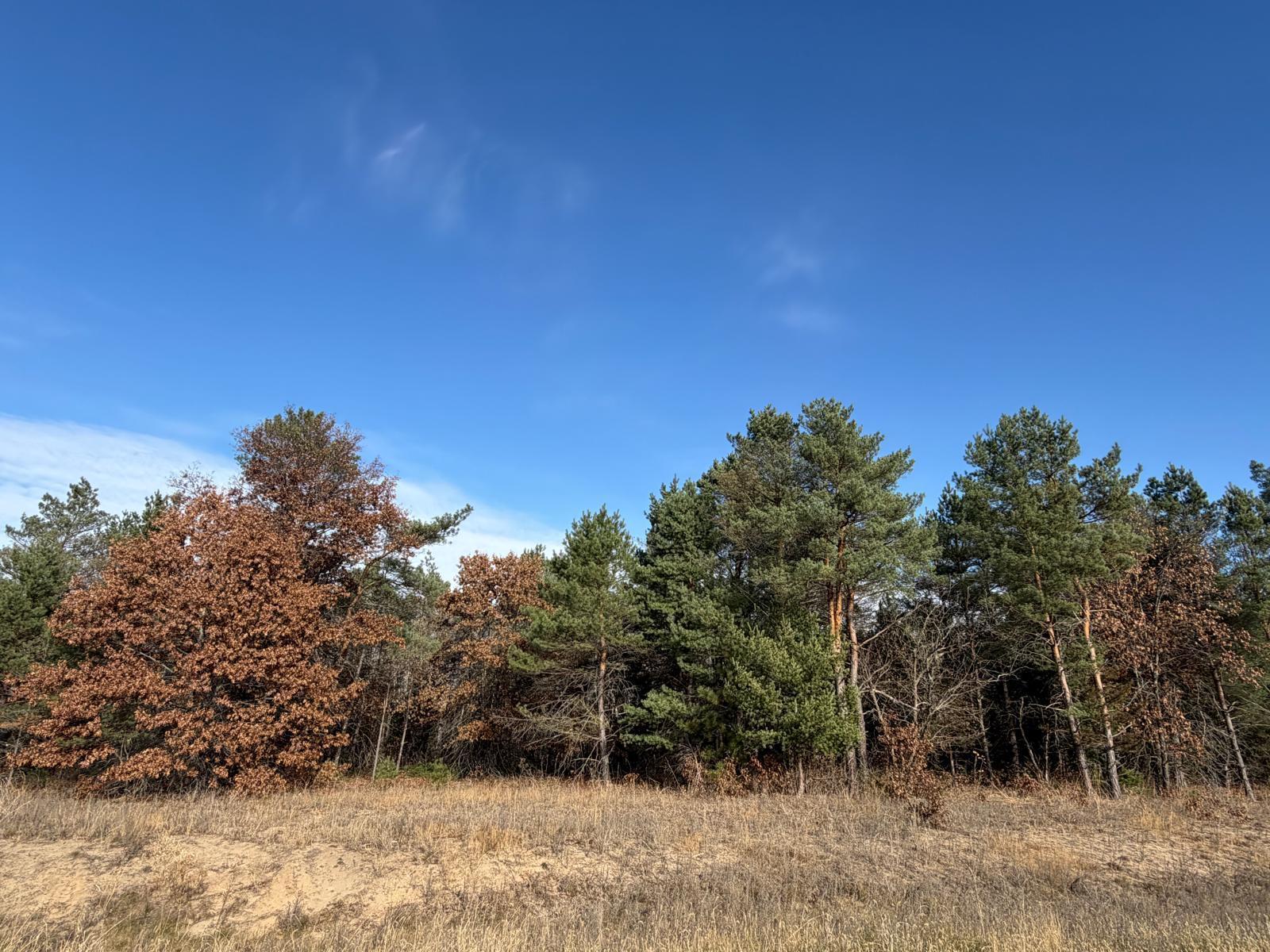 View of Land at L5,Blk1 262nd Avenue, Big Lake MN 55309, Big Lake - Mike Wilen | Minnesota Team Real Estate