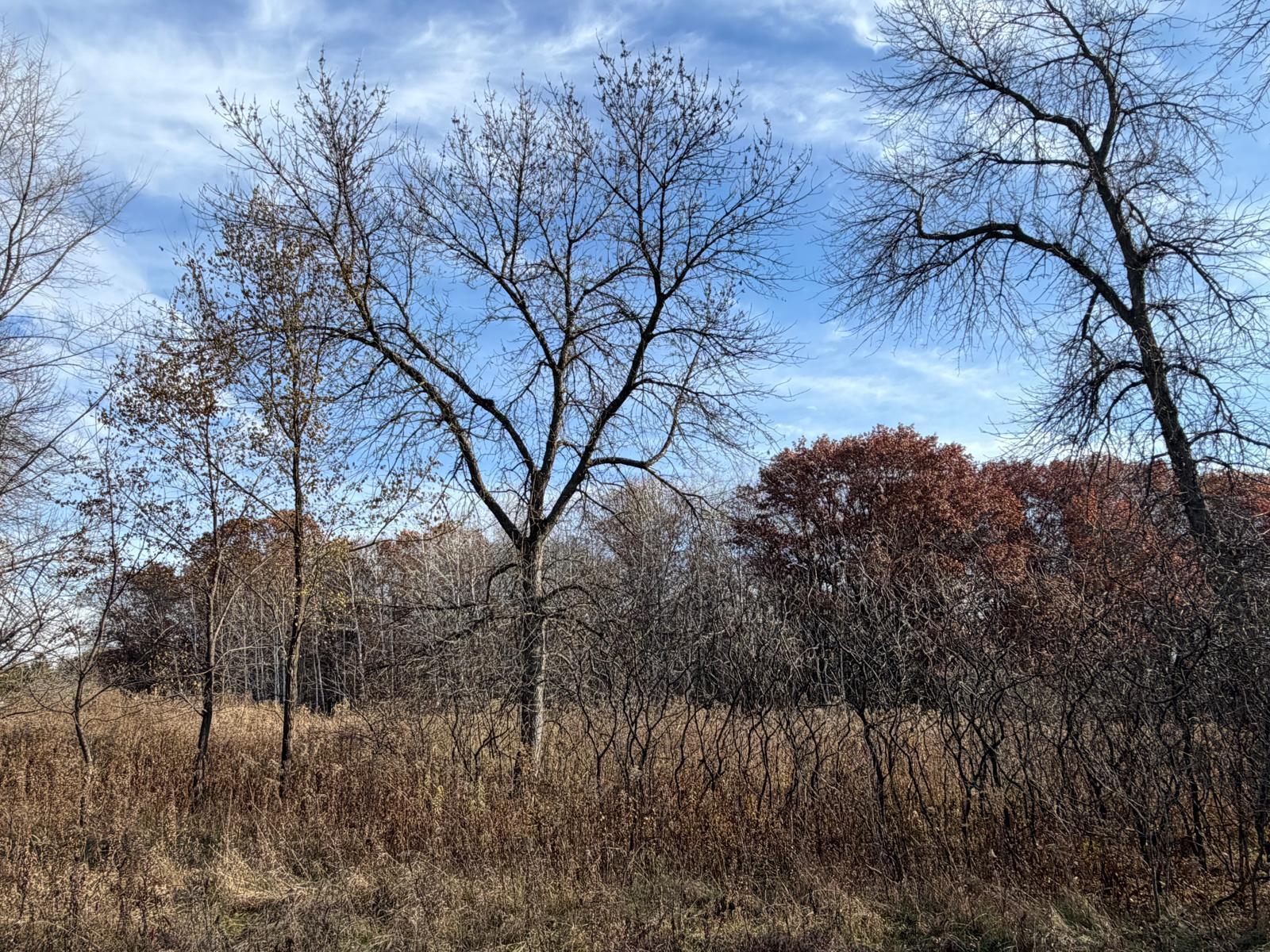 View of Land at XXXX Xerus Street, Zimmerman MN 55398, Zimmerman - Mike Wilen | Minnesota Team Real Estate