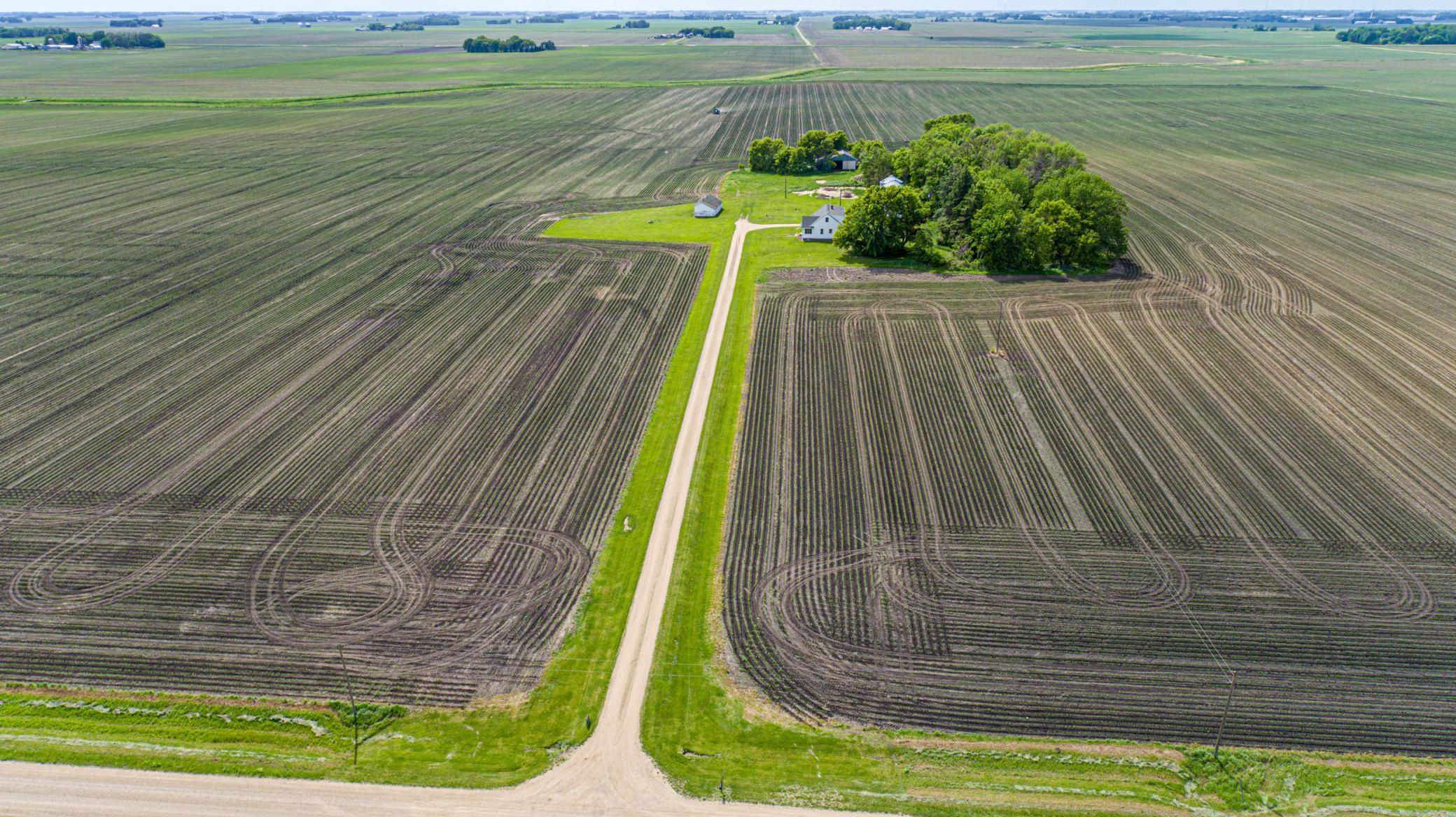 View of Residential at 29022 431st Avenue, Arlington MN 55307, Arlington (39 of 44) - Mike Wilen | Minnesota Team Real Estate