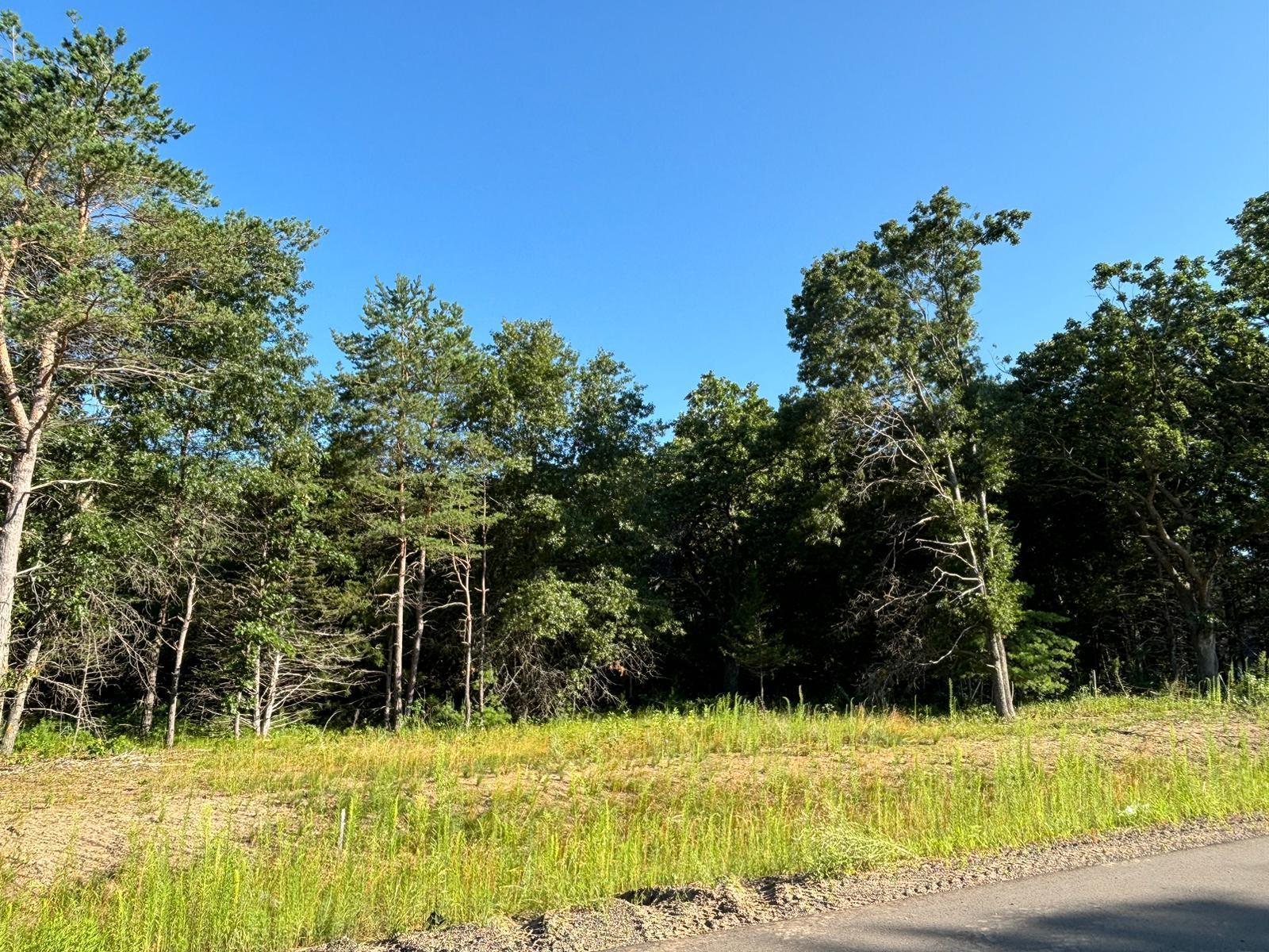 View of Land at L6,Blk1 262nd Avenue, Big Lake MN 55309, Big Lake (2 of 5) - Mike Wilen | Minnesota Team Real Estate