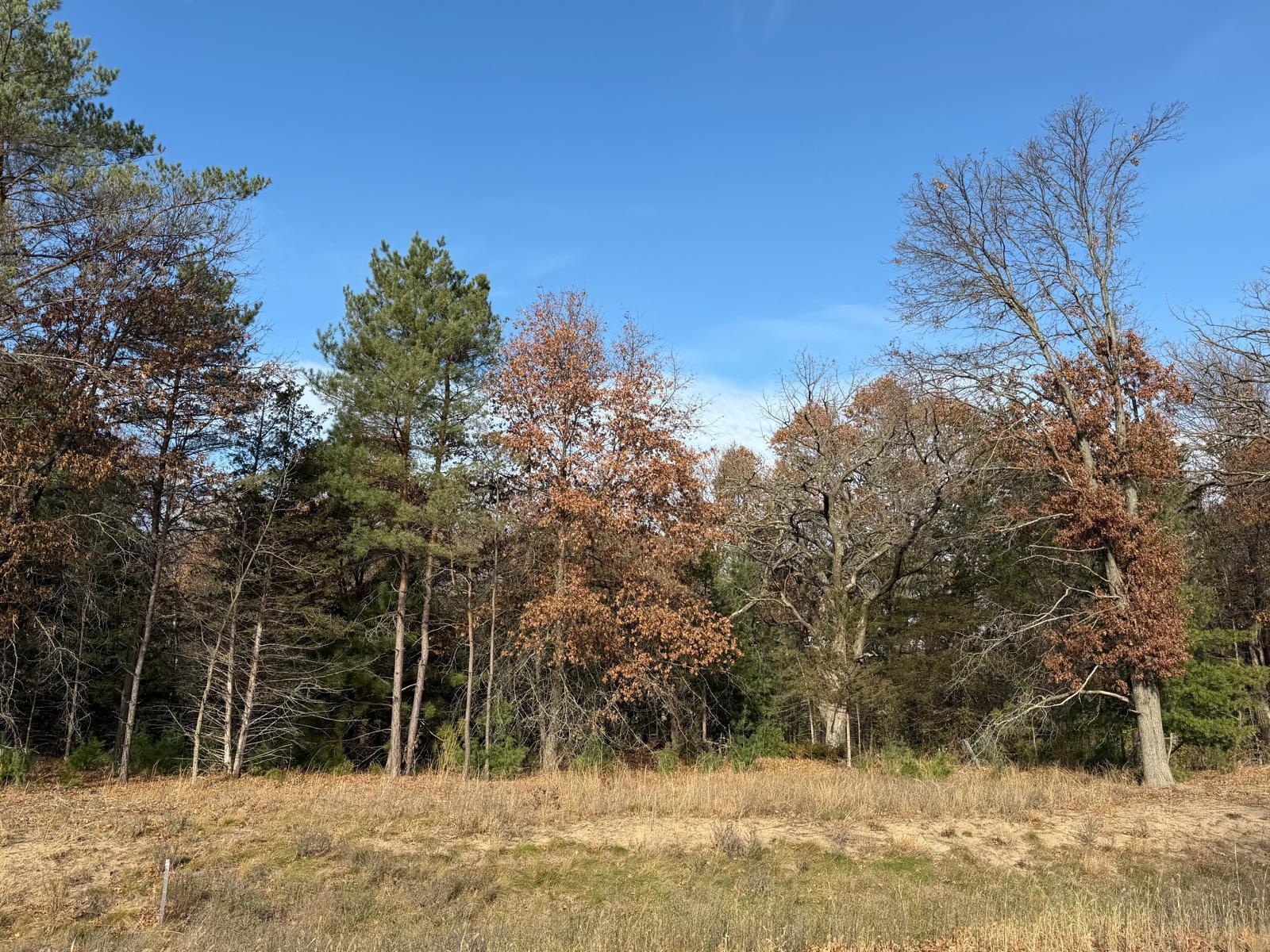 View of Land at L6,Blk1 262nd Avenue, Big Lake MN 55309, Big Lake - Mike Wilen | Minnesota Team Real Estate