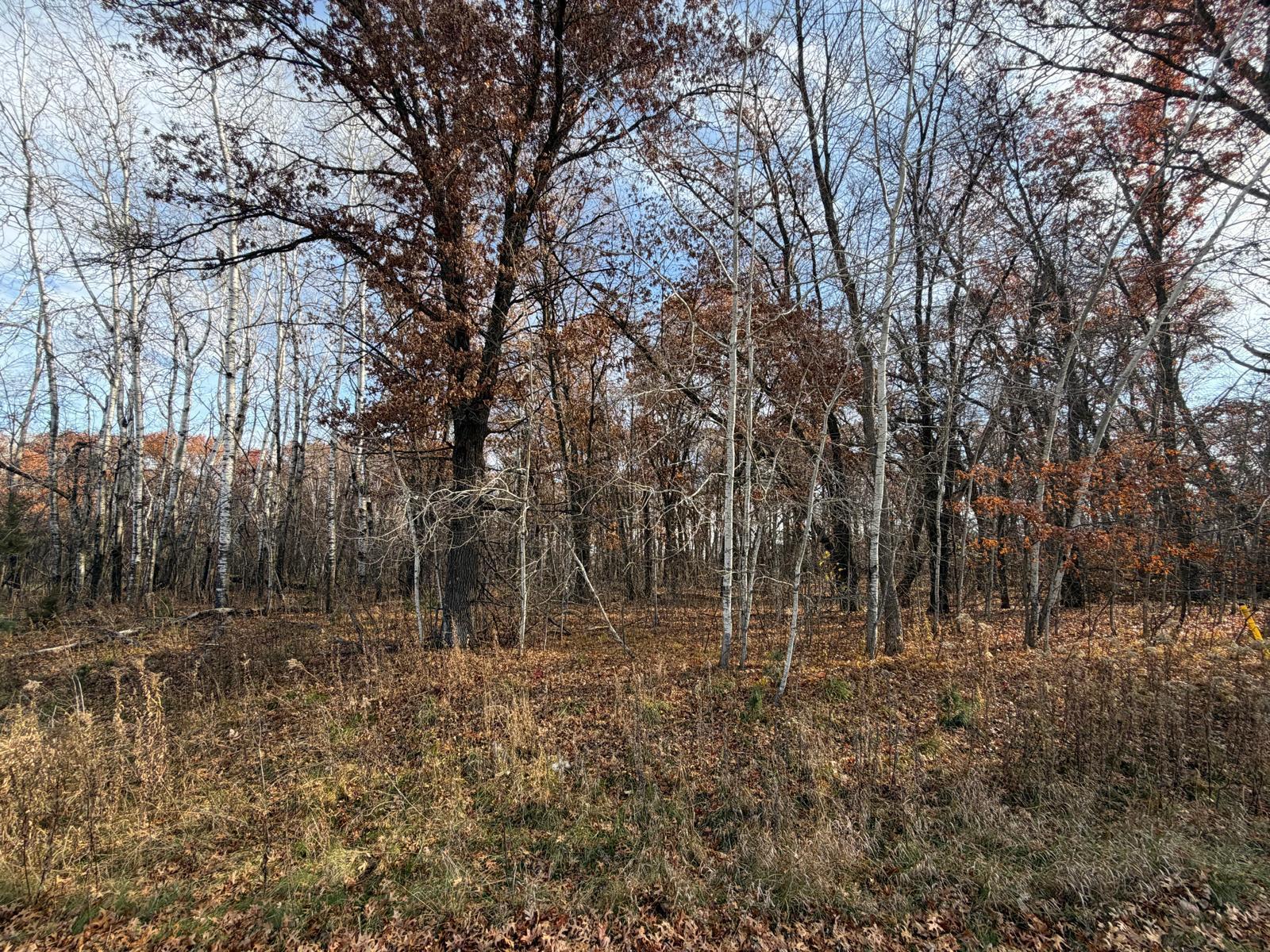 View of Land at XXXX Xerus Street, Zimmerman MN 55398, Zimmerman (2 of 3) - Mike Wilen | Minnesota Team Real Estate