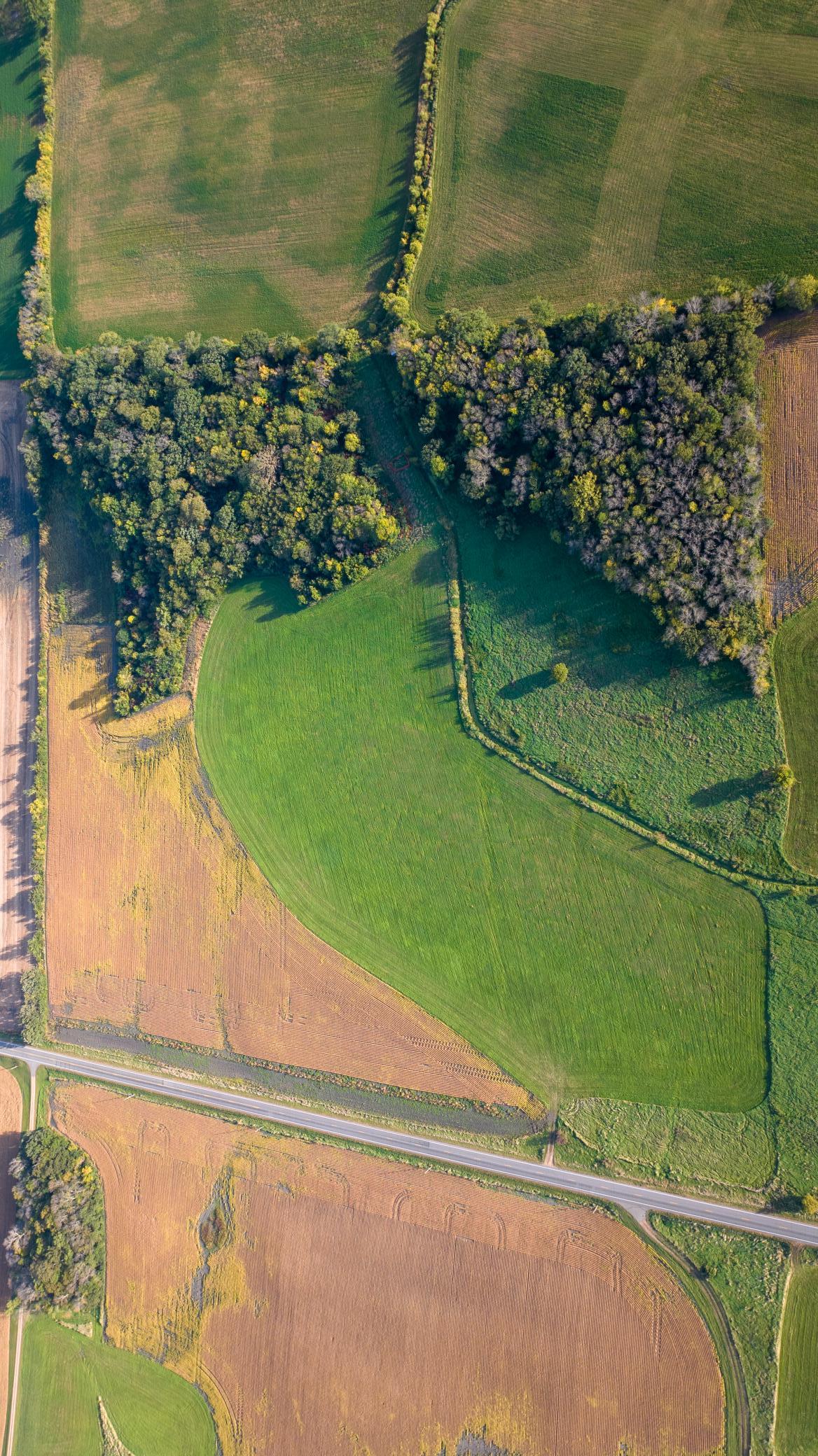 View of Land at TBD County Rd. 50, Carver MN 55315, Carver (9 of 9) - Mike Wilen | Minnesota Team Real Estate
