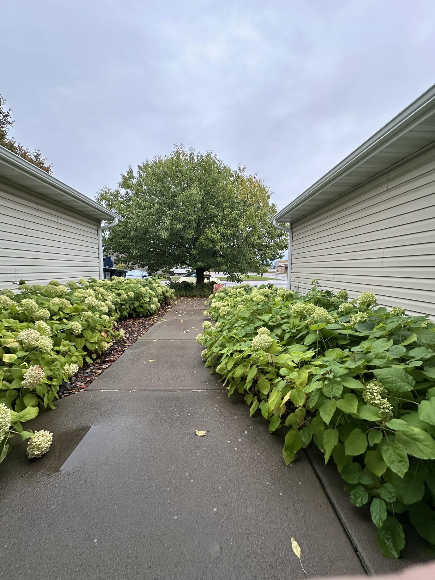 View of Residential at 371 Phyllis Street, Big Lake MN 55309, Big Lake (3 of 29) - Mike Wilen | Minnesota Team Real Estate