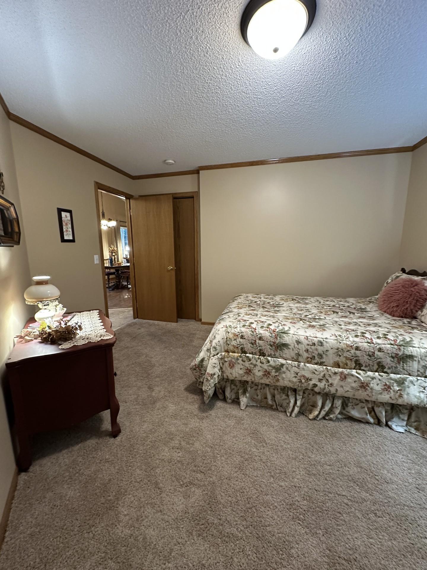 View of Residential at 371 Phyllis Street, Big Lake MN 55309, Big Lake (28 of 29) - Mike Wilen | Minnesota Team Real Estate