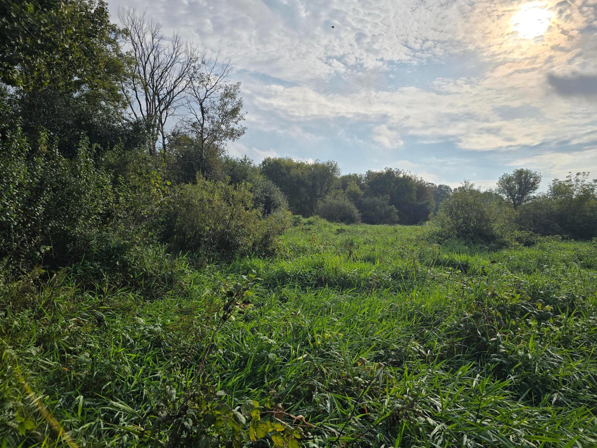 View of Land at TBD TBD, Ham Lake MN 55304, Ham Lake - Mike Wilen | Minnesota Team Real Estate