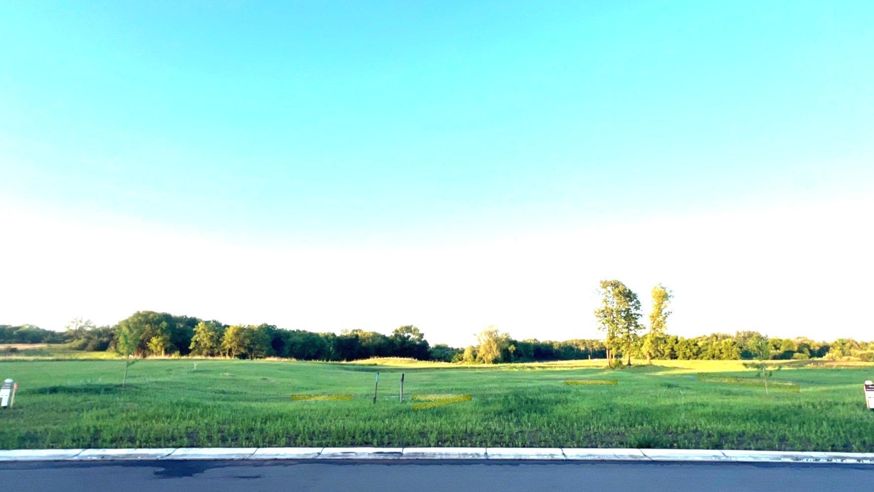 View of Land at 7701 Lake John Dr, Annandale MN 55302, Annandale (6 of 20) - Mike Wilen | Minnesota Team Real Estate