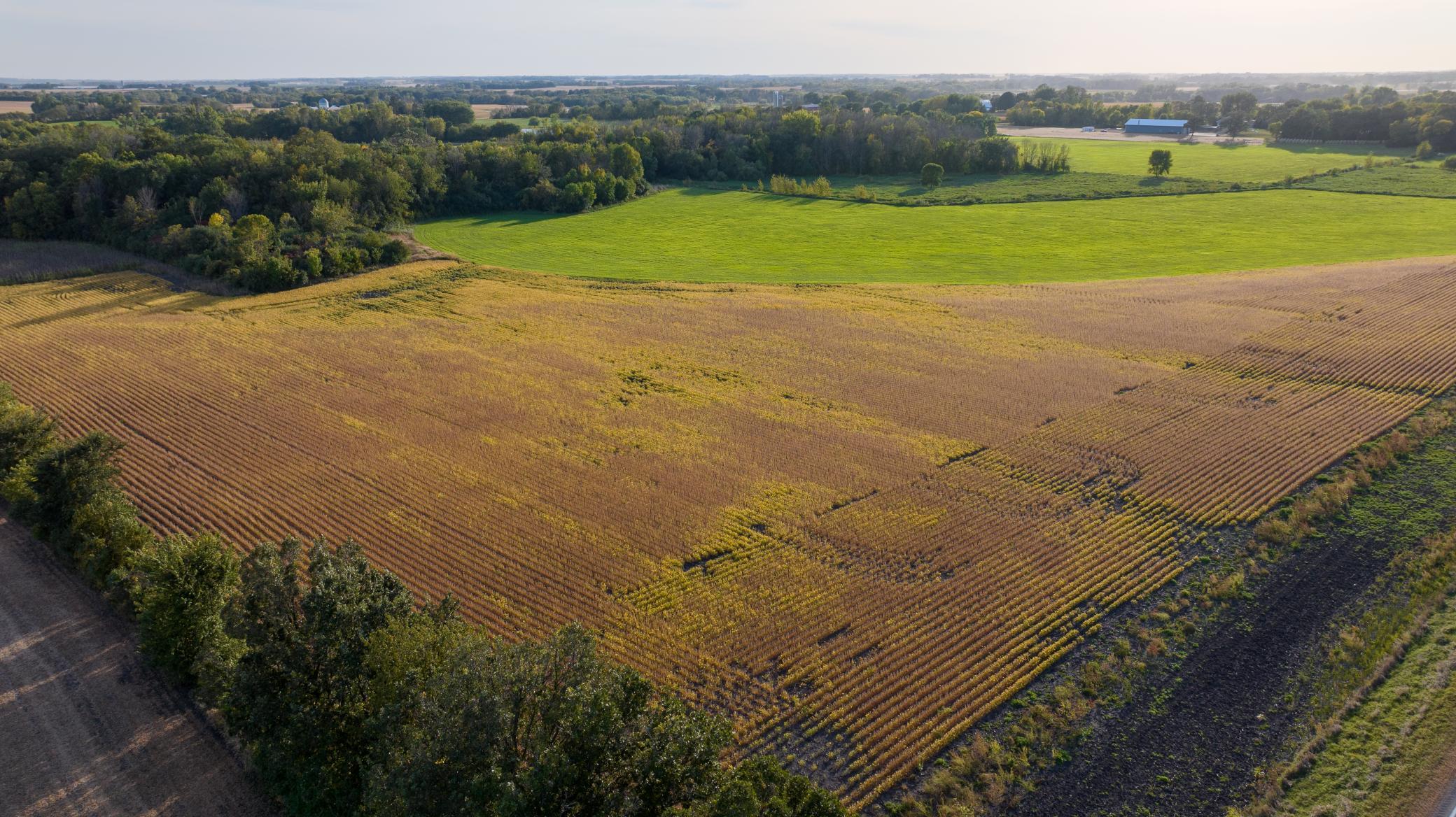 View of Residential at TBD County Rd. 50, Carver MN 55315, Carver (17 of 21) - Mike Wilen | Minnesota Team Real Estate