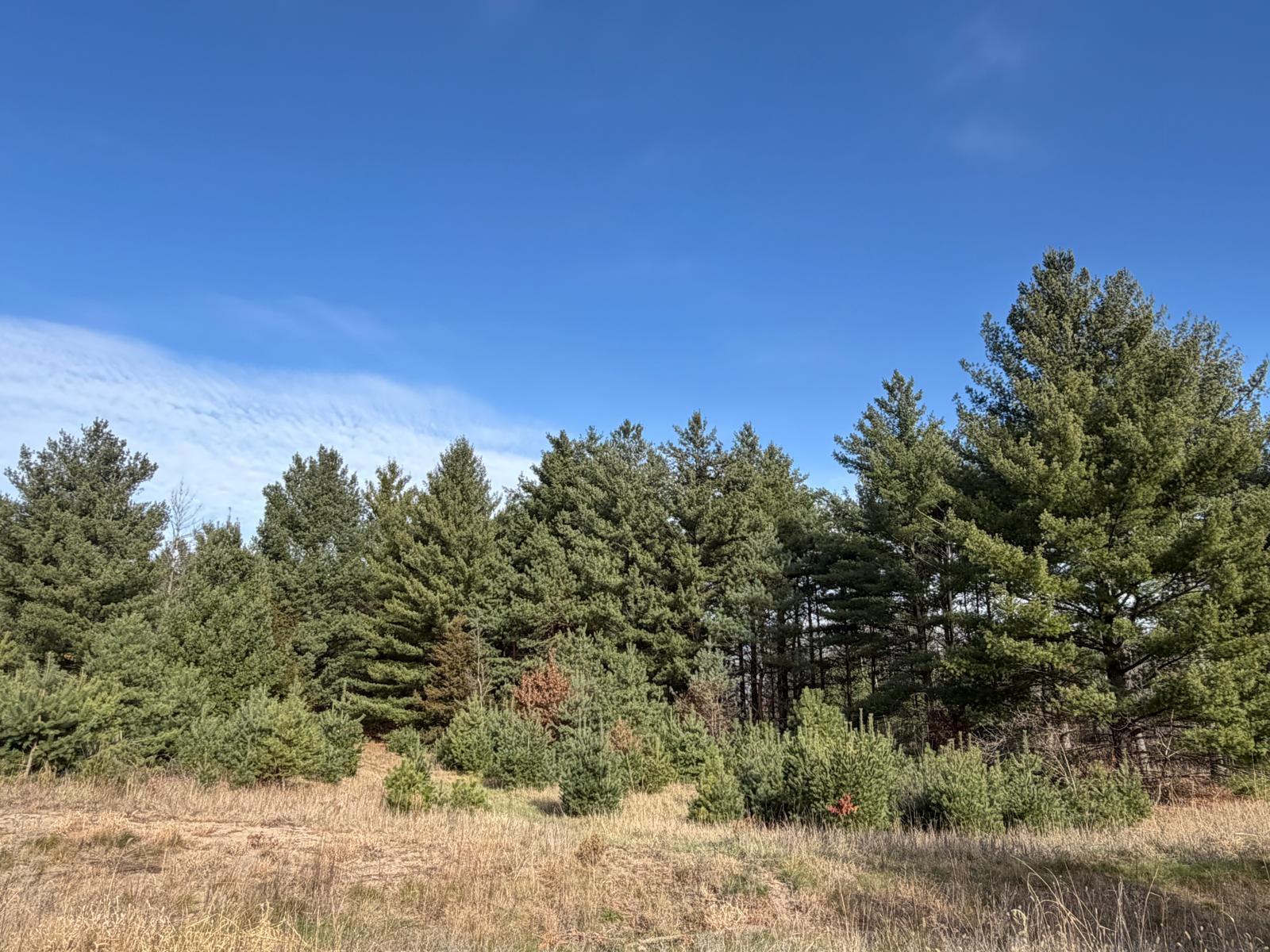 View of Land at L8,Blk1 262nd Avenue, Big Lake MN 55309, Big Lake - Mike Wilen | Minnesota Team Real Estate